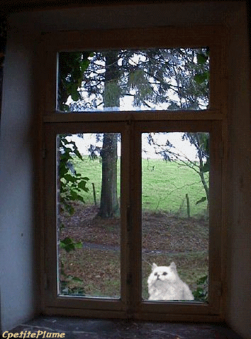 CADEAUX  A CPETITEPLUME UN GRAND MERCI GROS BISOUSSSS